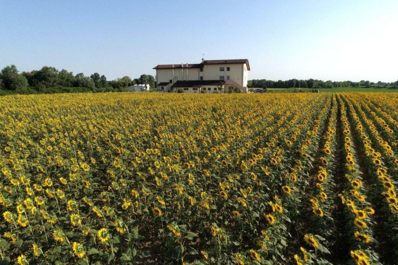 Al Cavaliere Villa ปอร์เดโนเน ภายนอก รูปภาพ